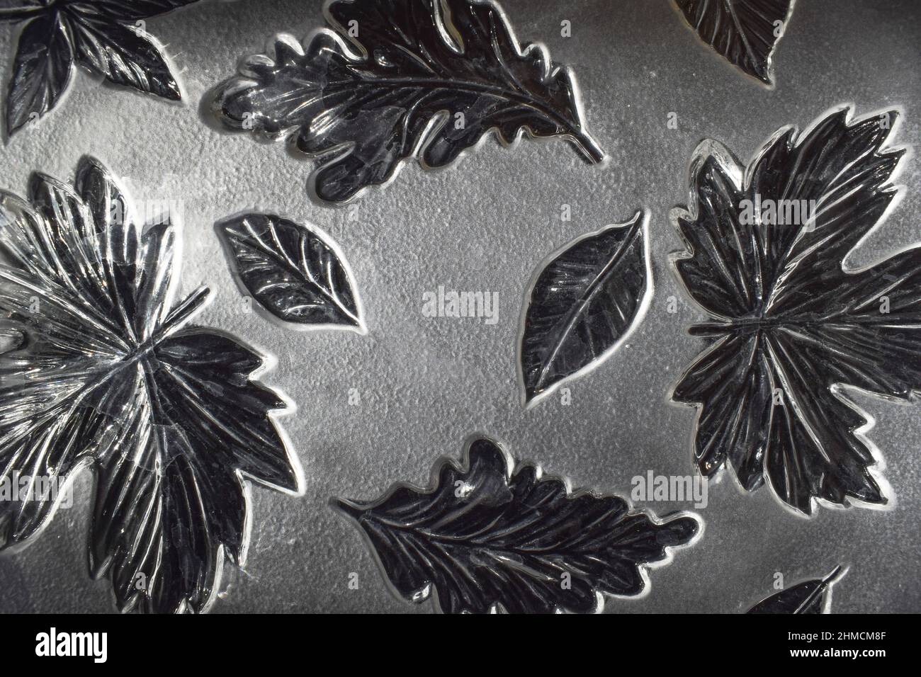 Maple leaf vintage color engraved Royalty Free Vector Image