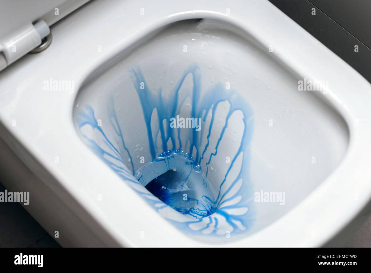 washing a toilet with blue liquid, concept of hygiene, indoor closeup