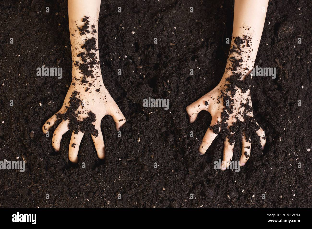 Hands and soil. Hands covered with soil. Stock Photo