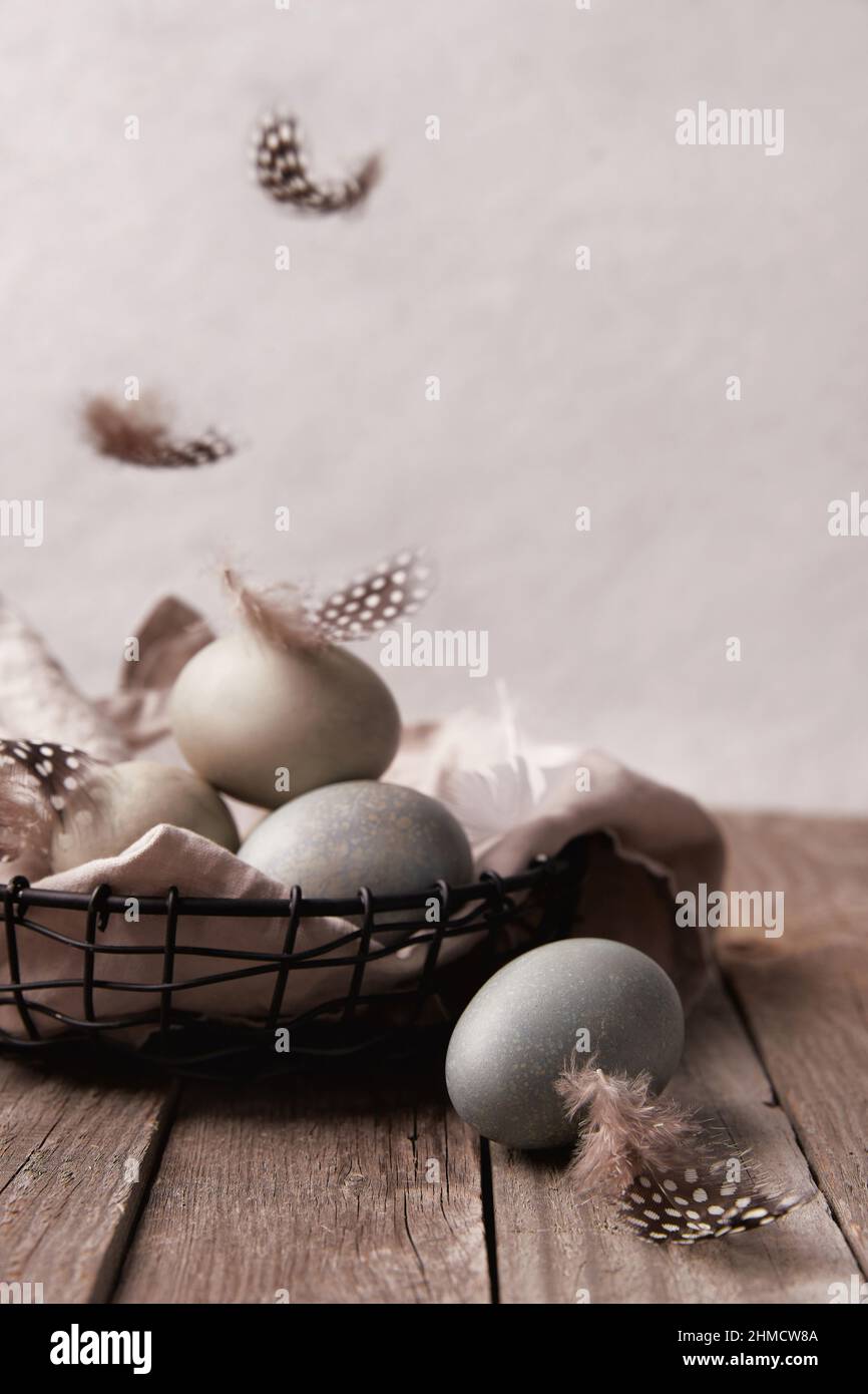 Eggs and feathers on rustic wooden table. Easter celebration concept Stock Photo