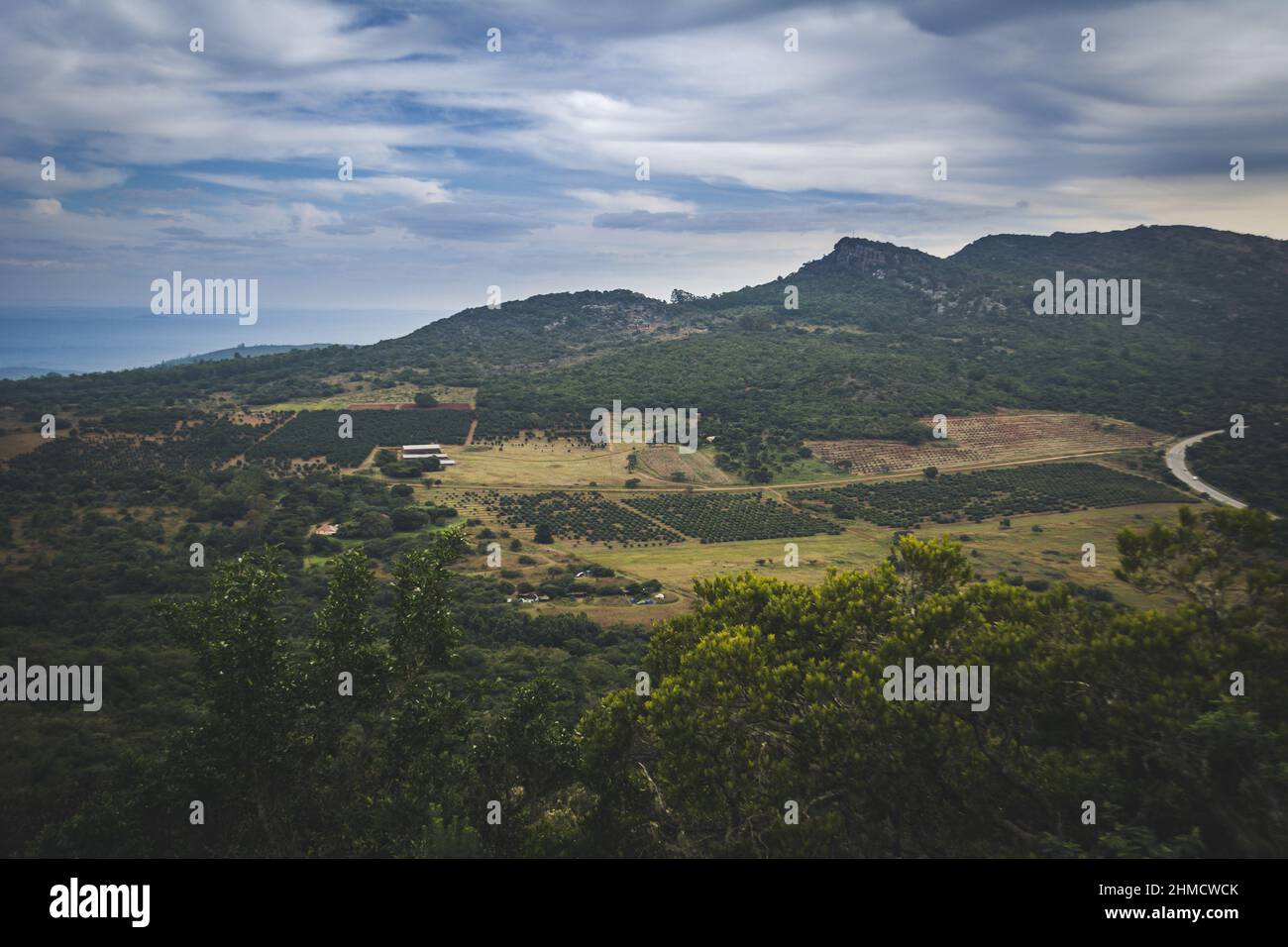 Trichardt hi-res stock photography and images - Alamy