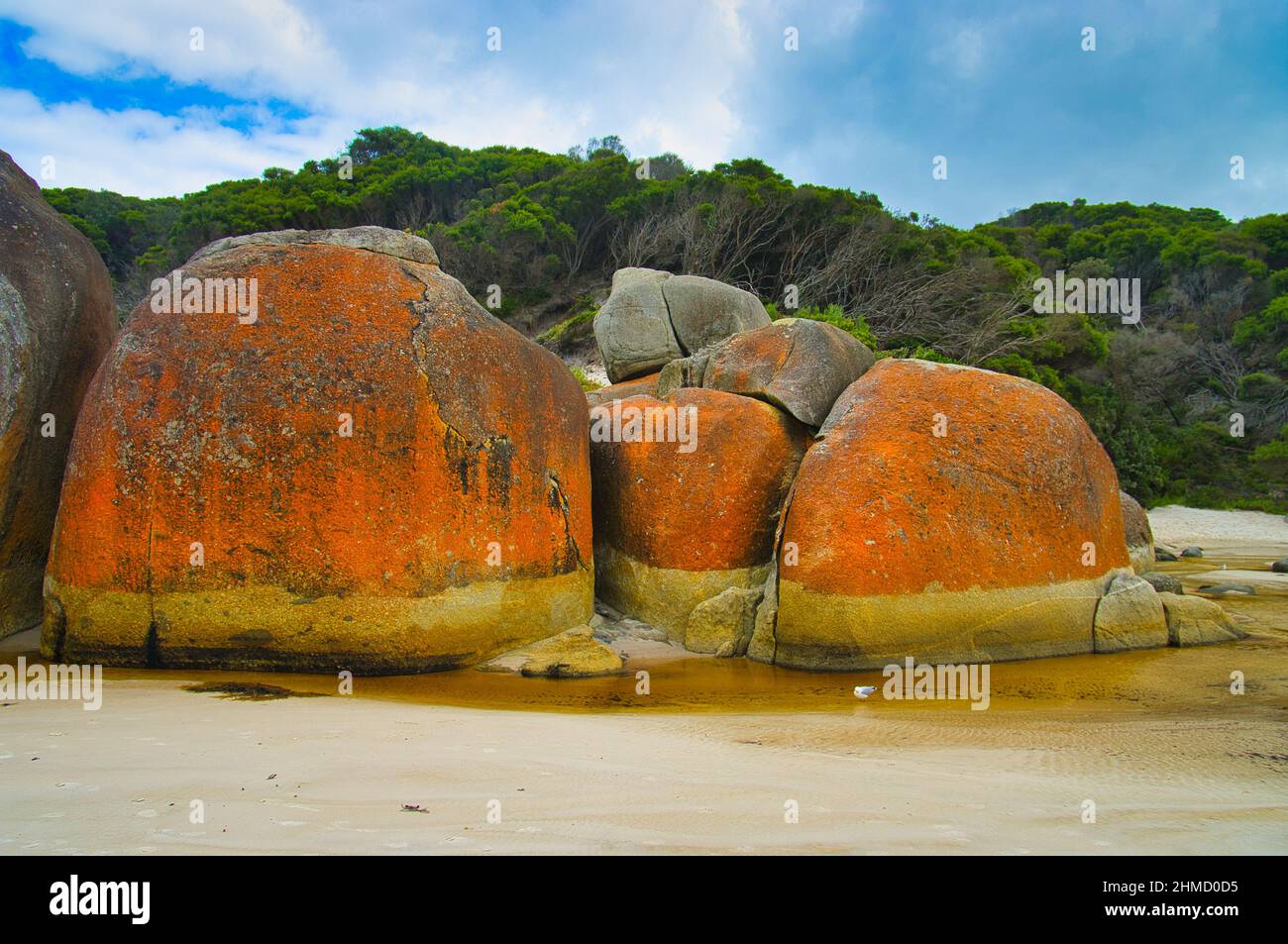 Giant granite boulders, covered in bright orange lichen, at Squeaky Beach, on the coast of  Wilsons Promontory National Park, Victoria, Australia Stock Photo