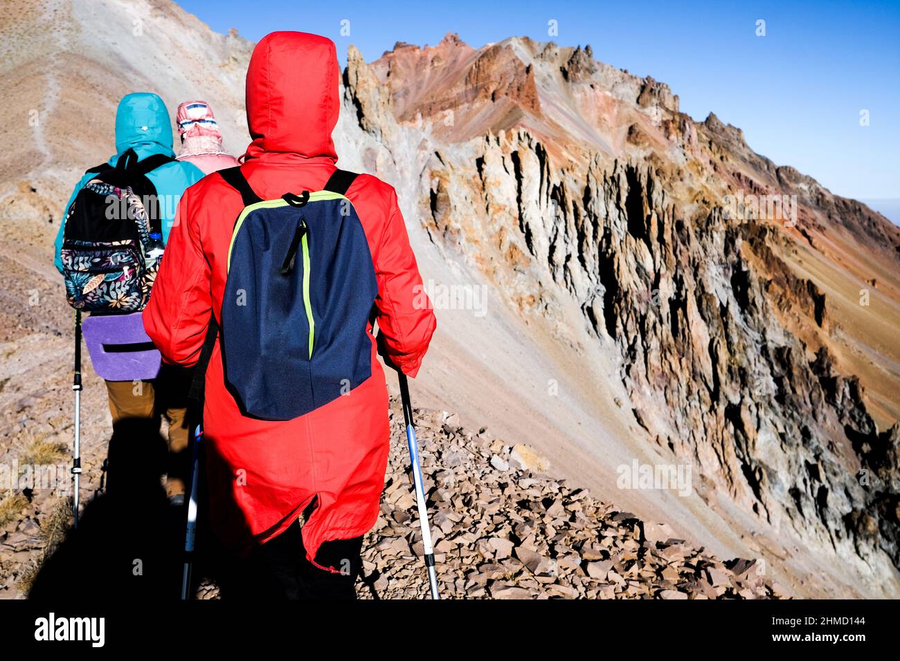 Group hikers in forest hi-res stock photography and images - Alamy