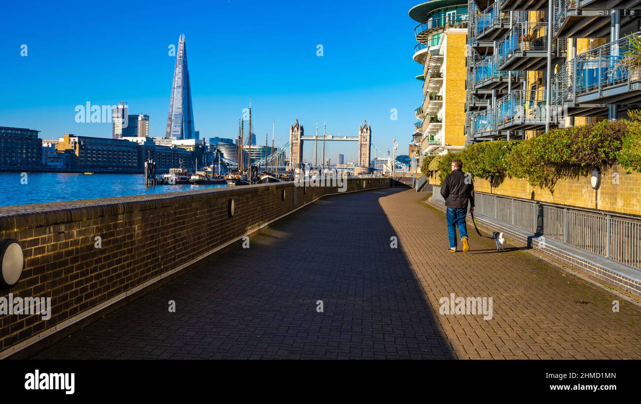 Dog walker. Thames view towards Tower Bridge, Shard, barges, blue sky. High Res 102 MP. Stock Photo