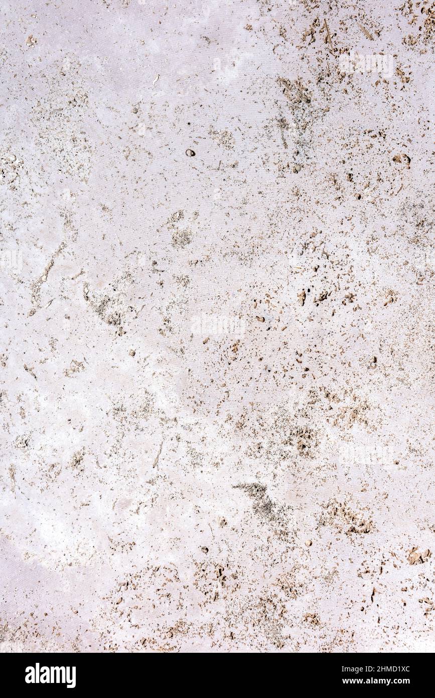 Surface of polished flat tile made of weathered travertine with natural imperfections. Real color of stone in neutral or beige earth tones. Large copy Stock Photo
