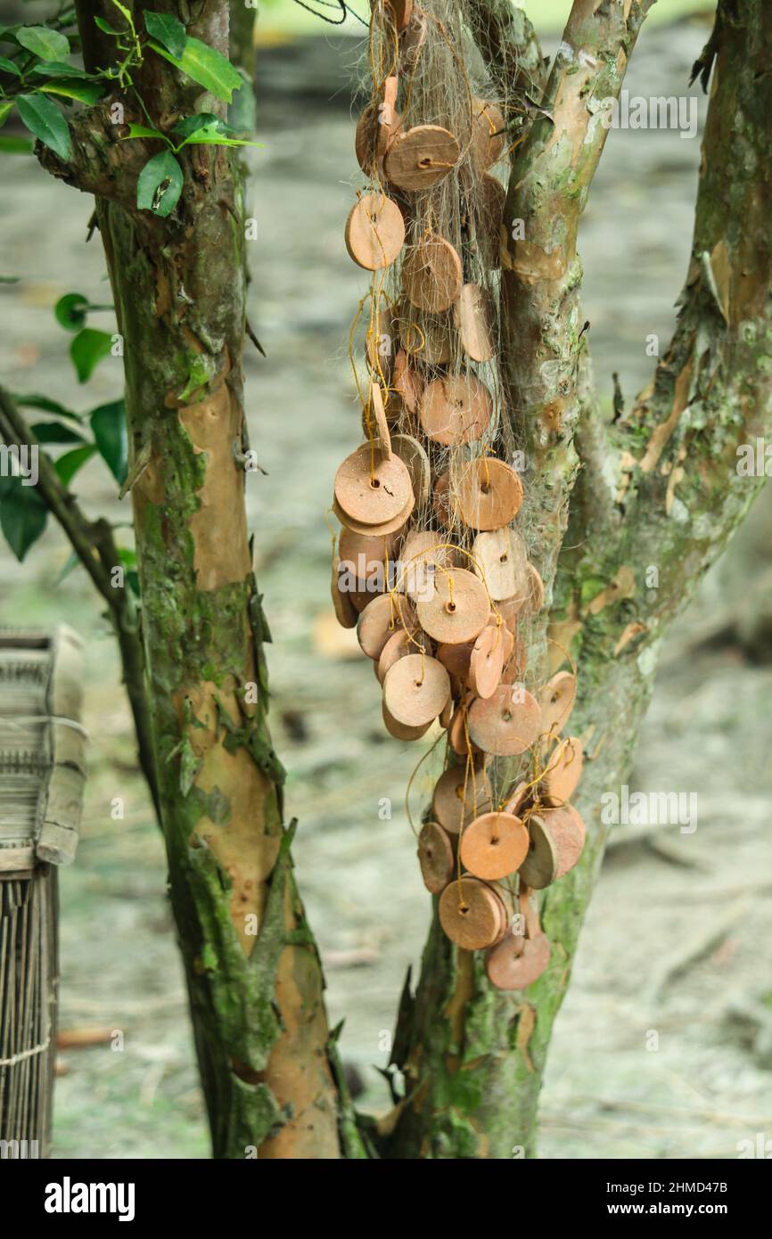 Hanging fishing nets on trees Stock Photo