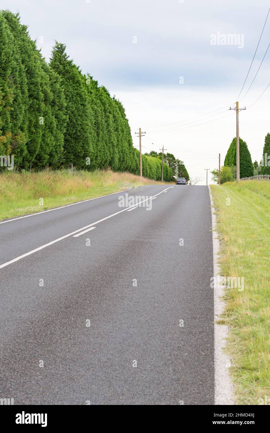 A car moving away in the distance on a rising straight piece of road with grass verges and a line of tall hedging trees in New South Wales, Australia Stock Photo