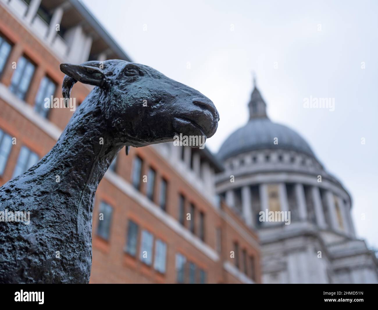 Shepherd and Sheep or Shepherd with his Flock,  outdoor bronze sculpture produced in 1975 by Elisabeth Frink, Paternoster Square with St Paul's Cathed Stock Photo