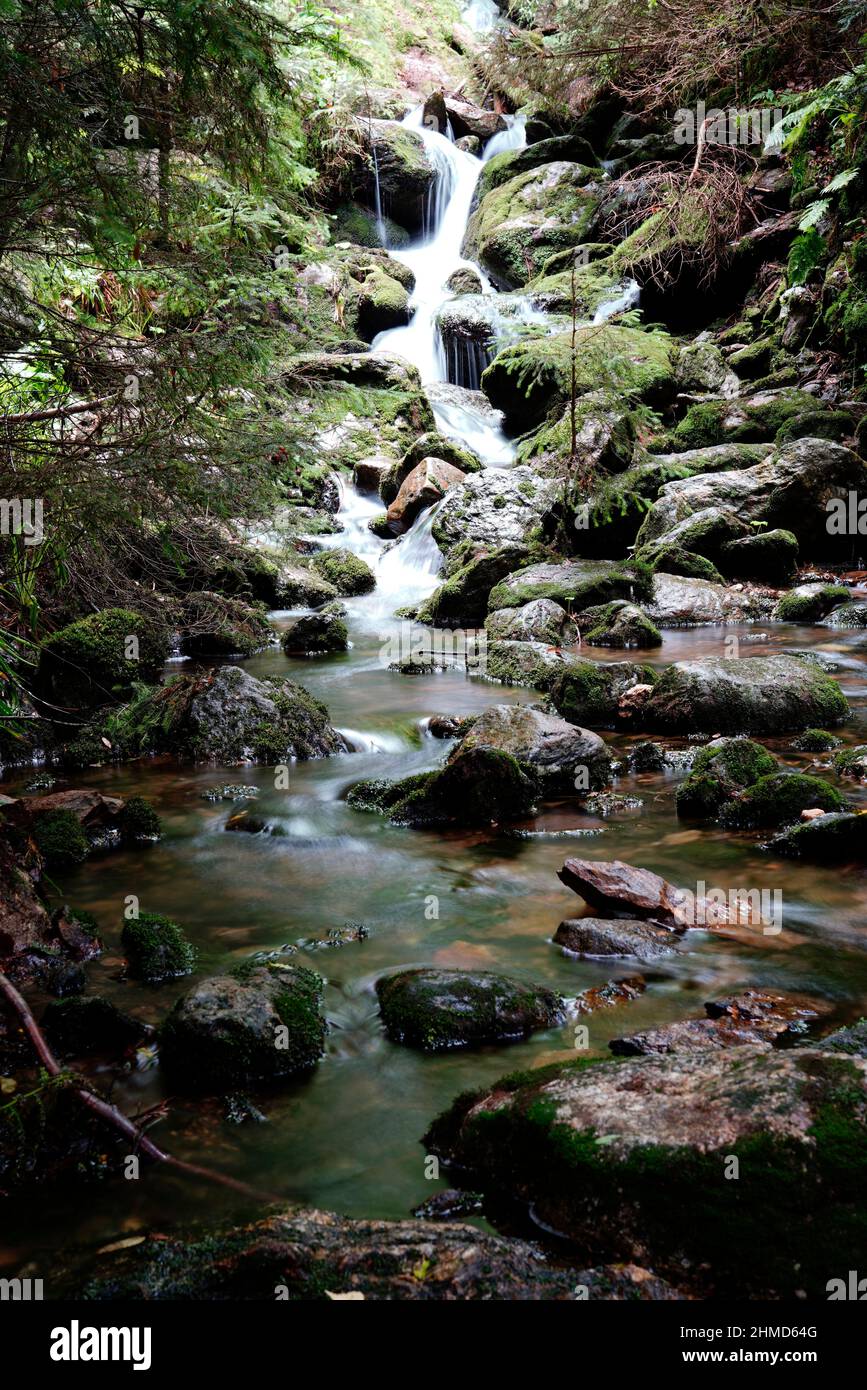 torrent, Bohemian Forest, Plzensky kraj, Czech Republic Stock Photo