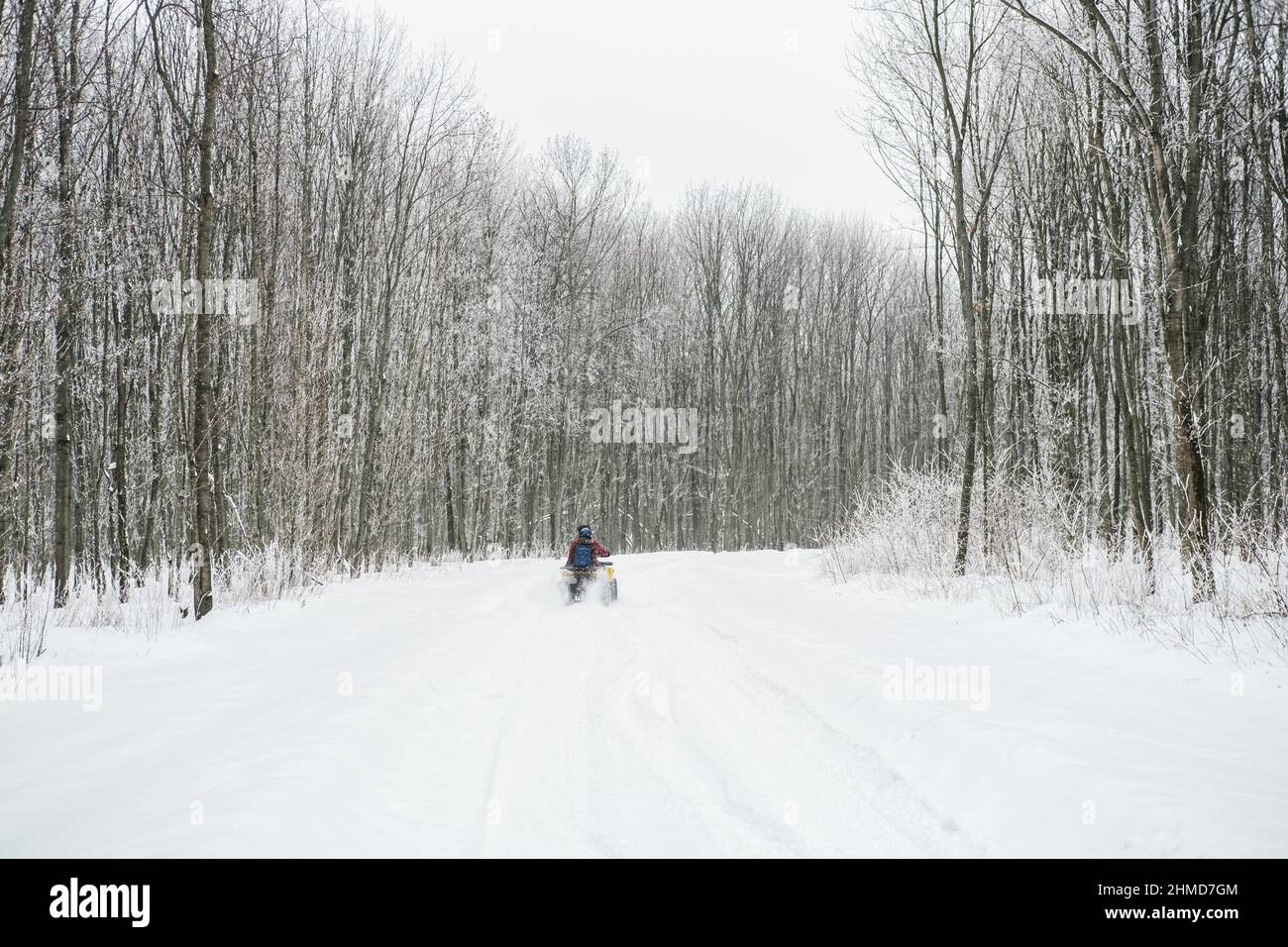 A quadricycle driving away through the snowy forest. Outdoor winter activities, riding an ATV bike in the woods Stock Photo