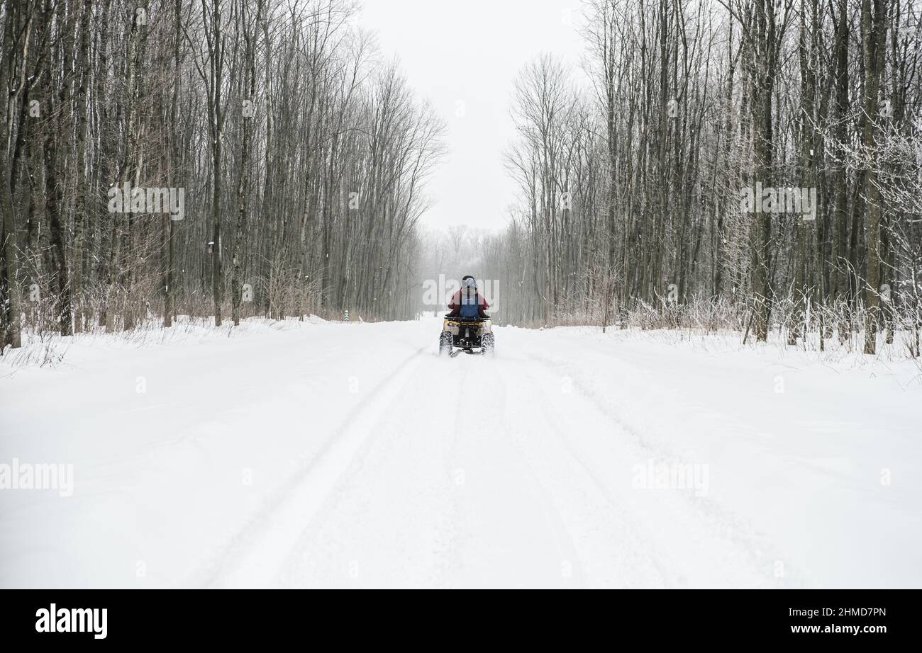 A quadricycle driving away through the snowy forest. Outdoor winter activities, riding an ATV bike in the woods Stock Photo
