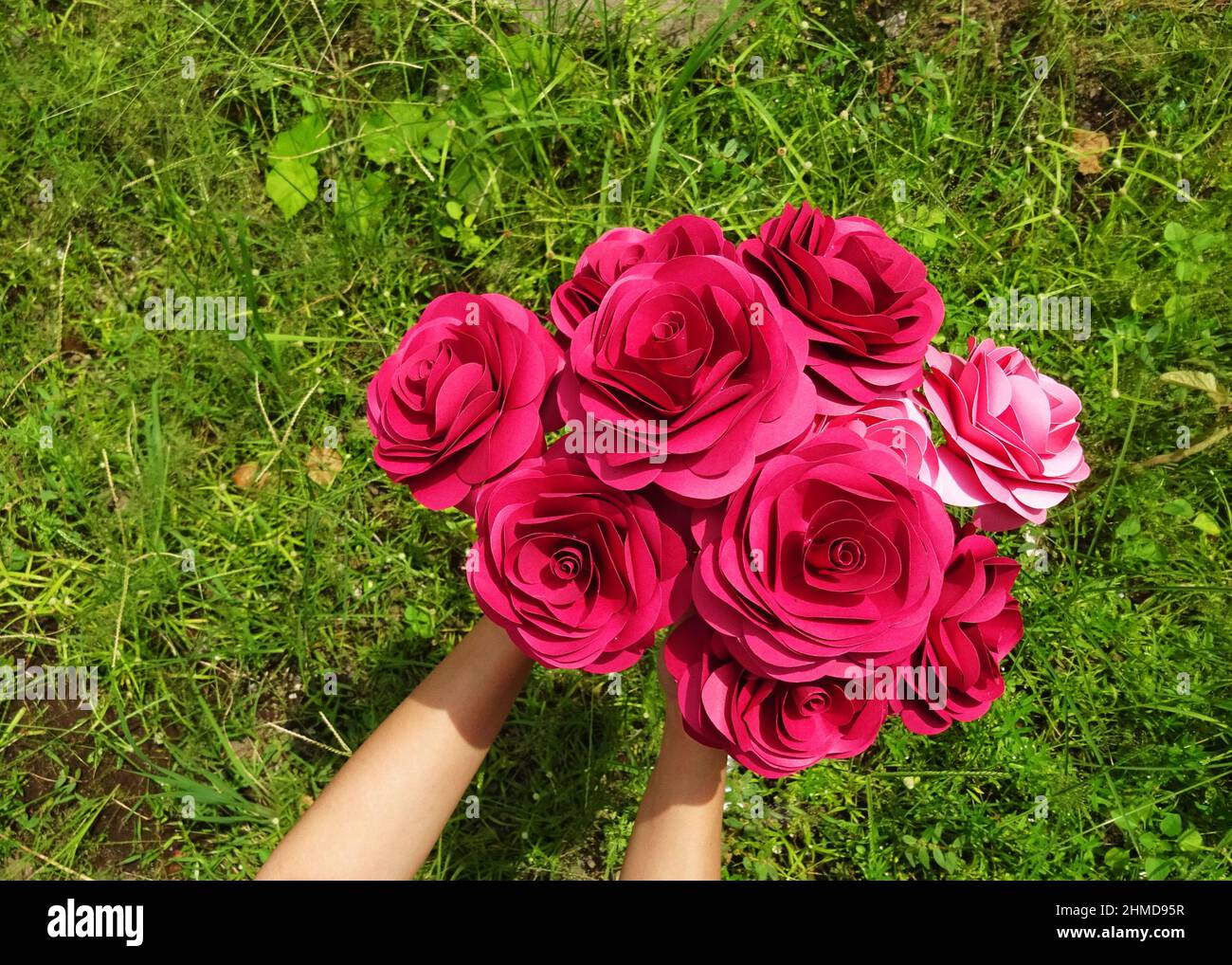 Pink paper rose Stock Photo