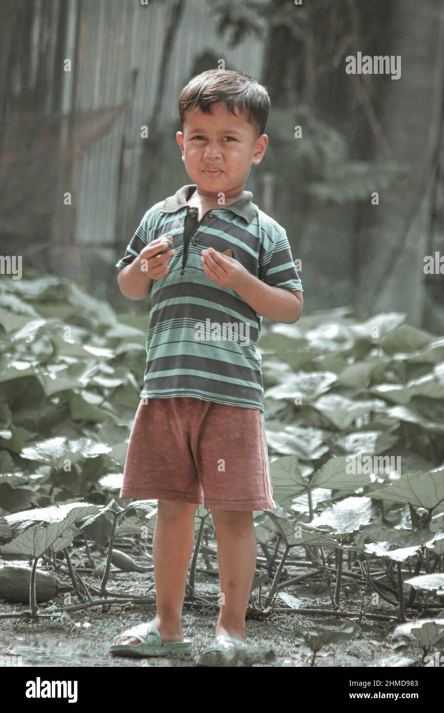 What happens if a child swallowed a plum seed hires stock photography