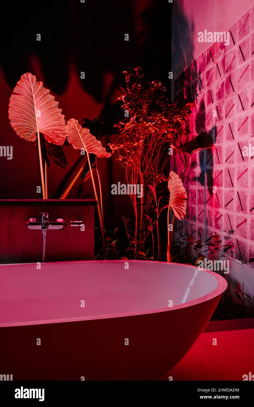 Tropical bathroom interior with palm trees in neon lights Stock Photo