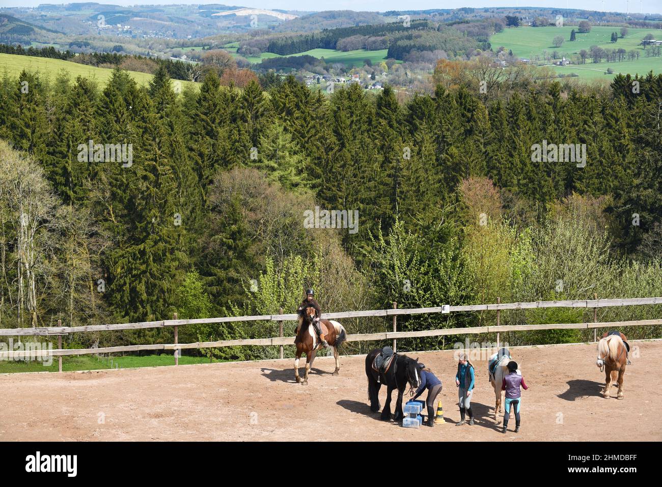 Horseback riding in the Ardennes Stock Photo