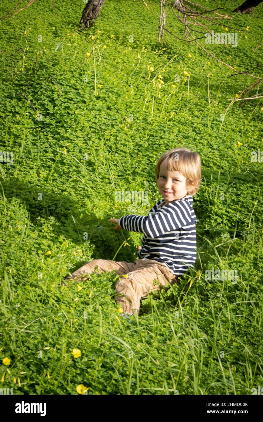 Little boy playing in green bushes on sunny day Stock Photo