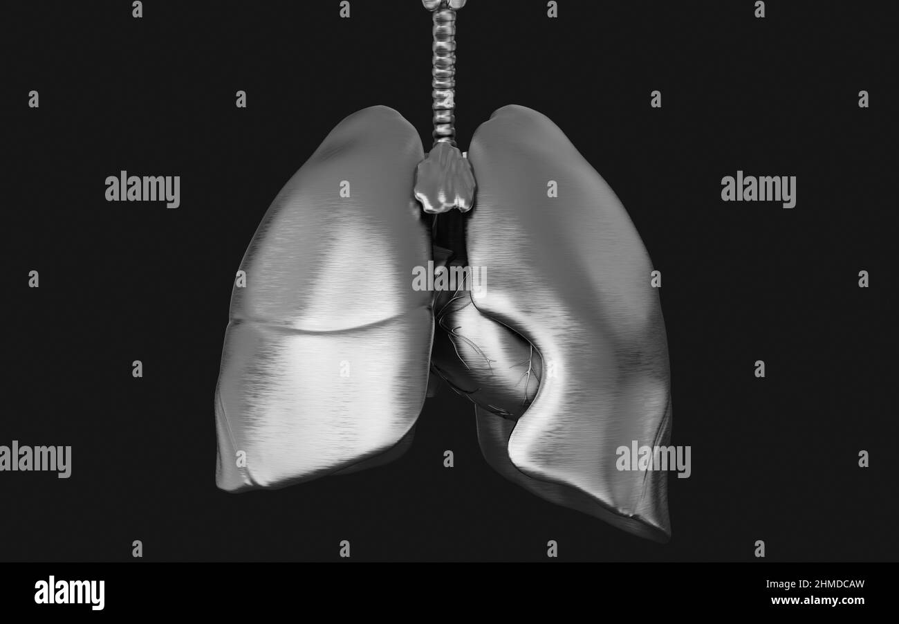 3d Illustration The Human’s Lung Silver Iron and Respiratory System. nCoV in The Worlds Illustration Concept. Stock Photo