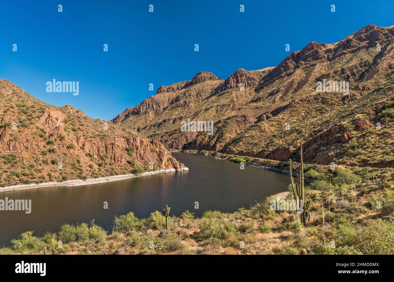 Apache Lake on Salt River, in Superstition Mountains, view from Apache Trail (Road 88), Arizona, USA Stock Photo