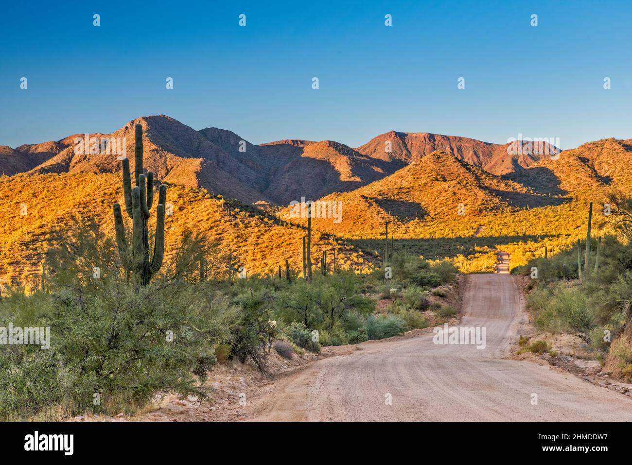 Unnamed range in Superstition Mountains at sunset, view from Apache Trail (Road 88), near Apache Gap and Davis Wash Campground, Arizona, USA Stock Photo