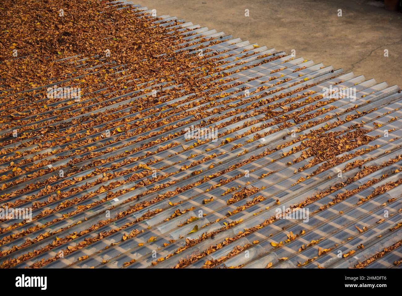 Bird eye view of autumn leaves on the roof Stock Photo - Alamy