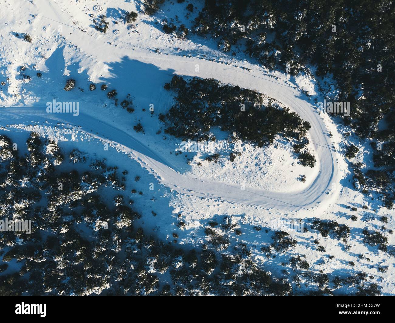 Aerial pine trees country road hi-res stock photography and images - Alamy