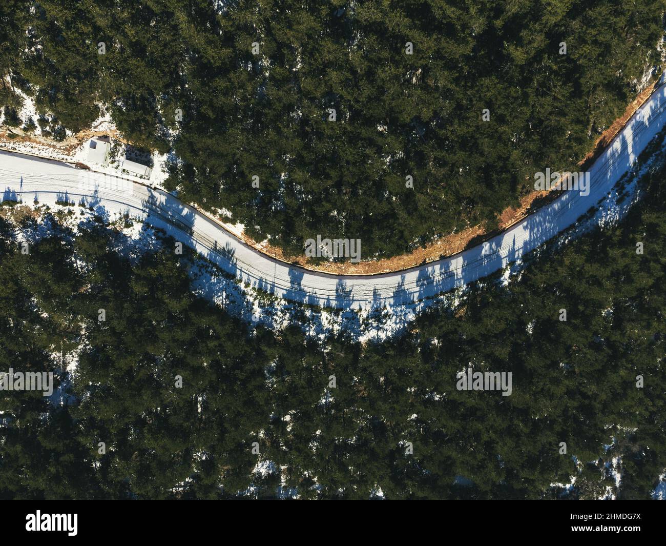 Aerial pine trees country road hi-res stock photography and images - Alamy