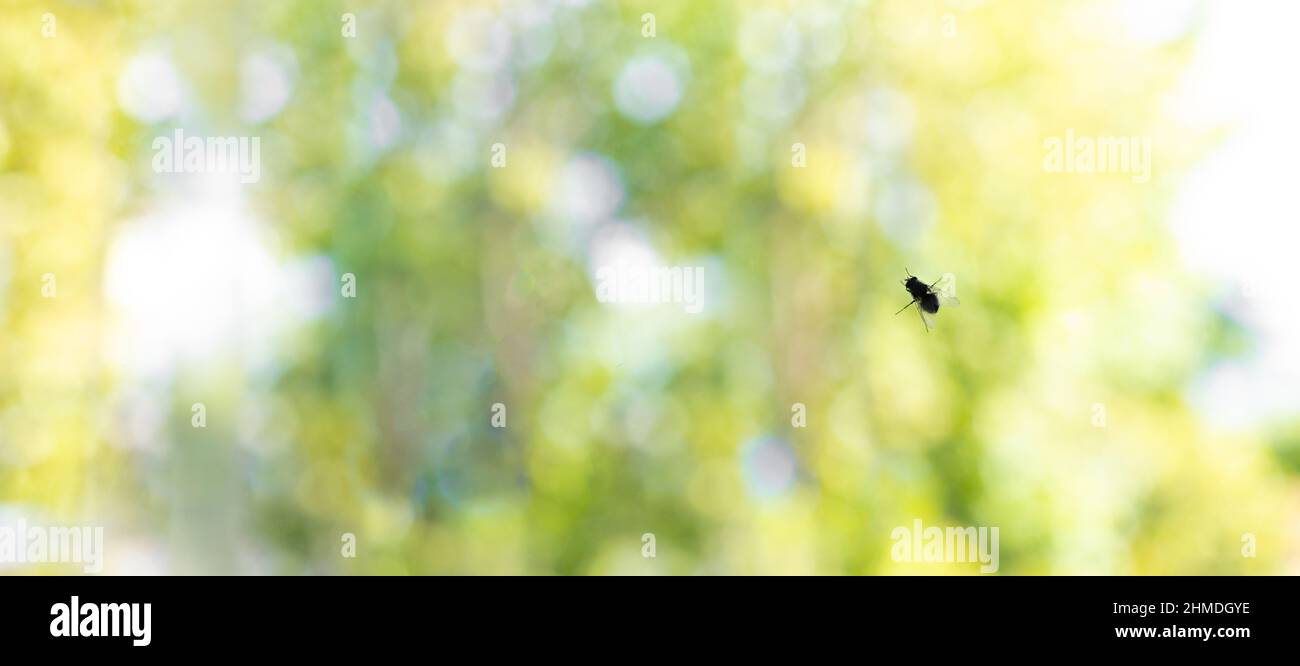 Glass house wing hi-res stock photography and images - Alamy