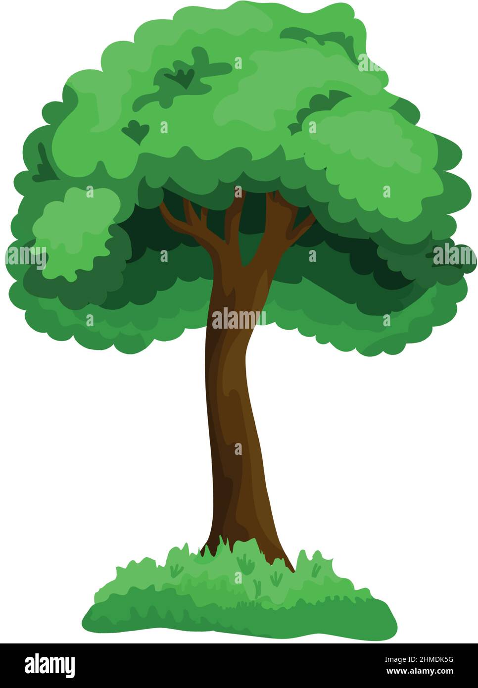 Realistic green deciduous tree isolated on white background - Vector ...