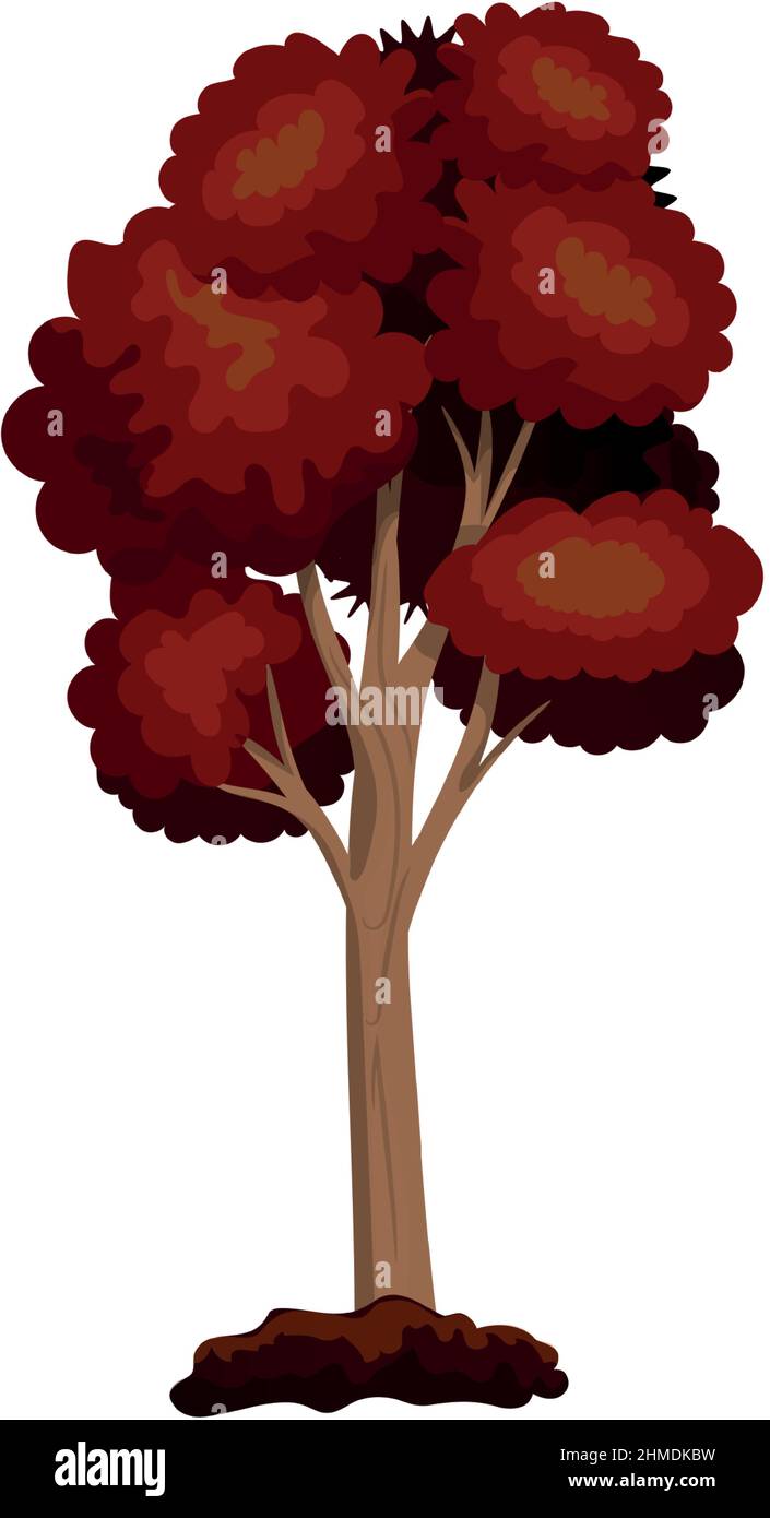 Realistic green deciduous tree isolated on white background - Vector ...