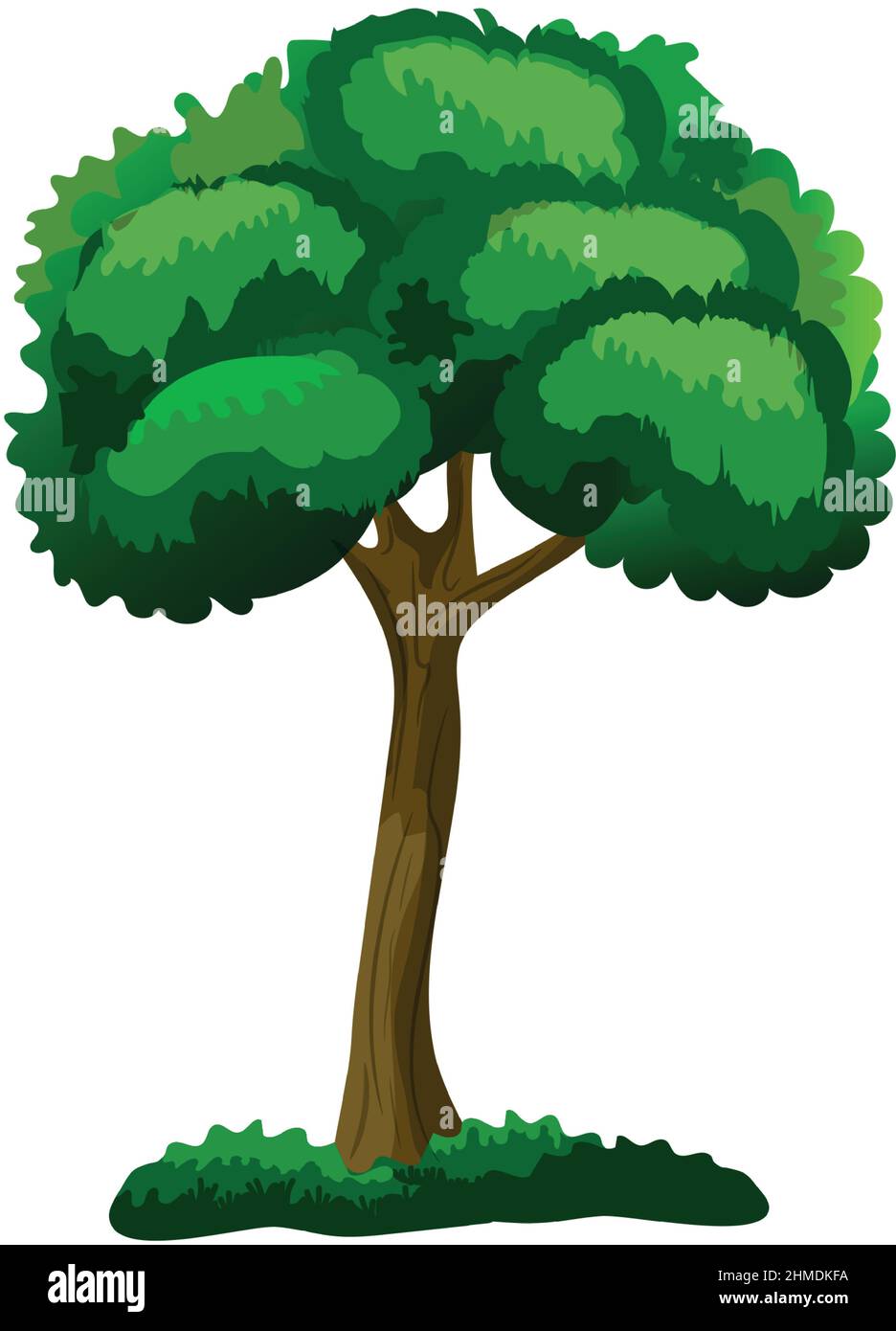 Realistic green deciduous tree isolated on white background - Vector ...