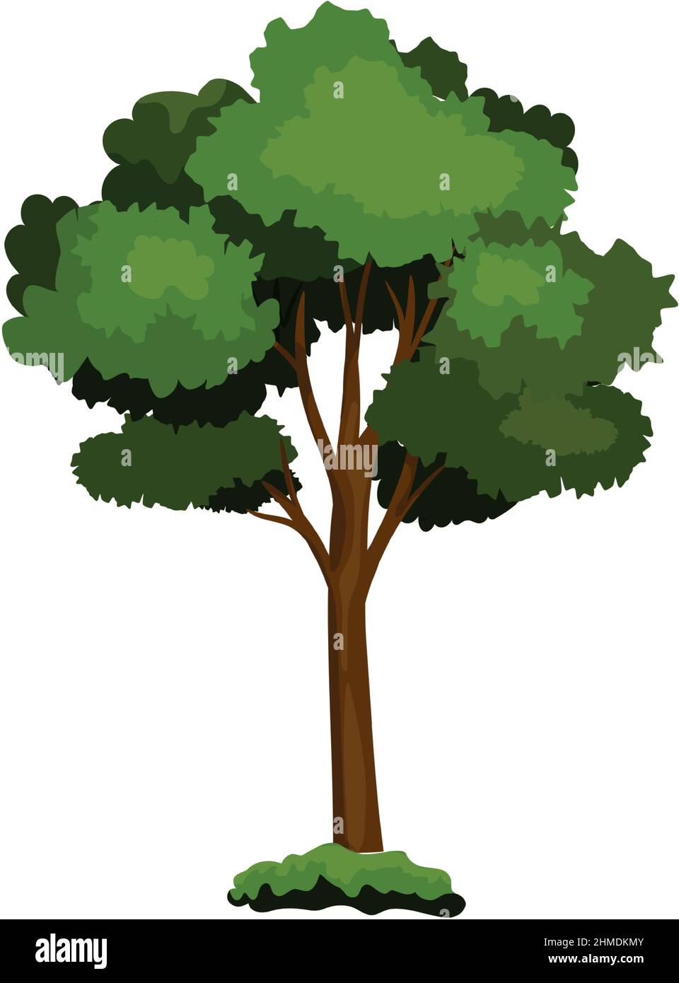 Realistic green deciduous tree isolated on white background - Vector ...