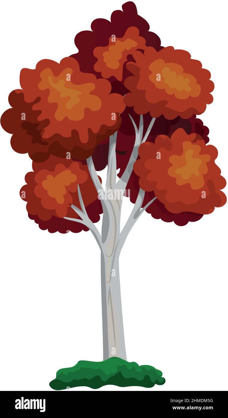 Realistic green deciduous tree isolated on white background - Vector ...