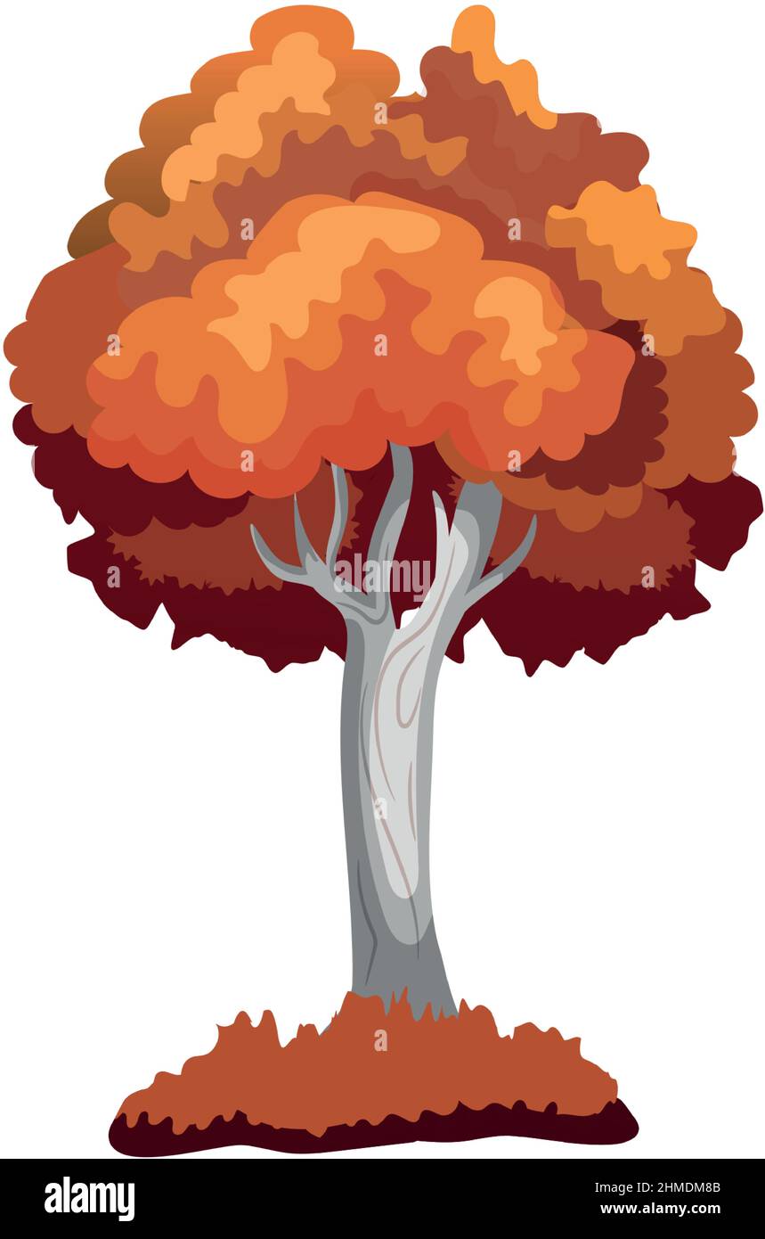 Realistic green deciduous tree isolated on white background - Vector ...