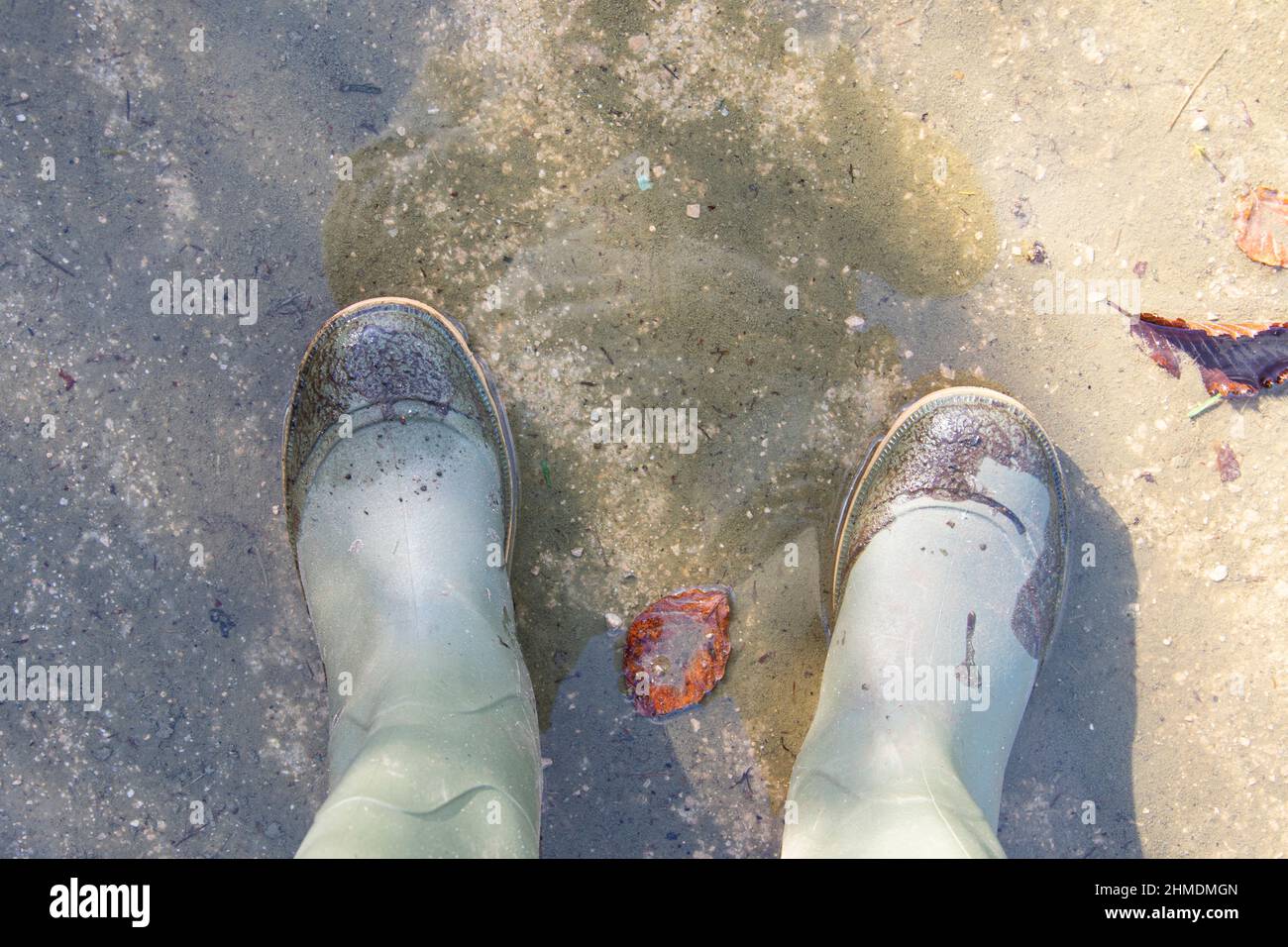Muddy green rubber boots in a puddle Stock Photo