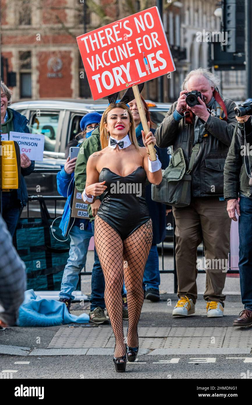 Playboy Bunny Halloween Costume Party City 2022