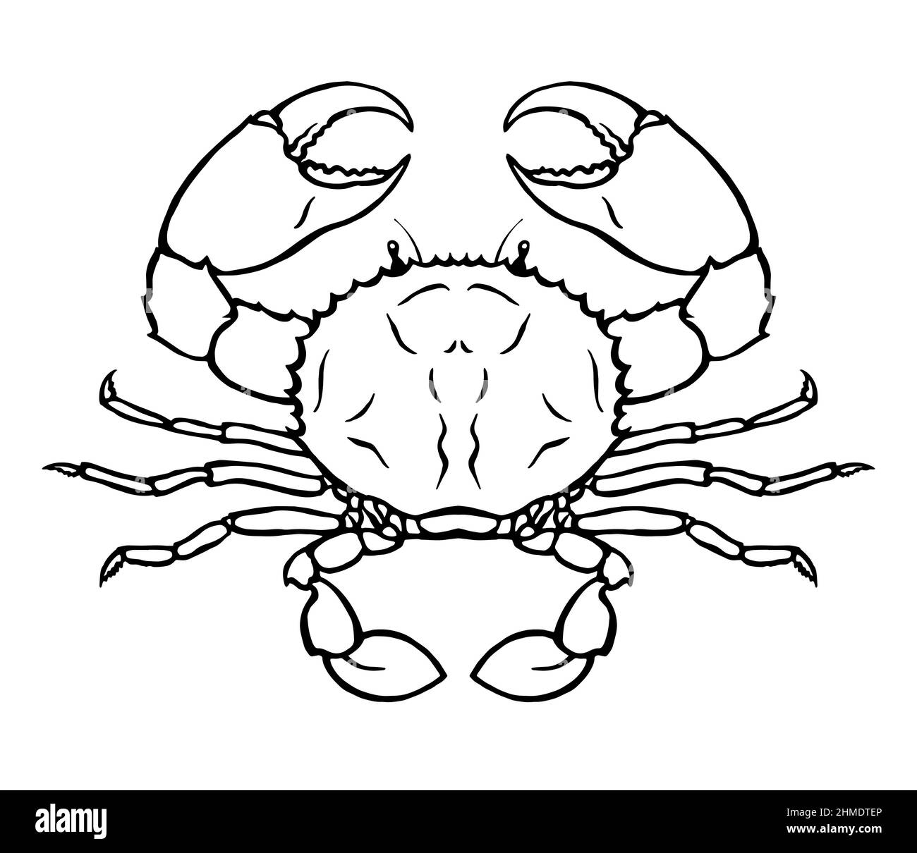 crab underwater drawing