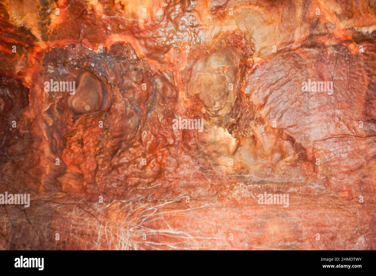 Abstract patterns on the rocks at Chyulu Hills National Park, Kenya Stock Photo