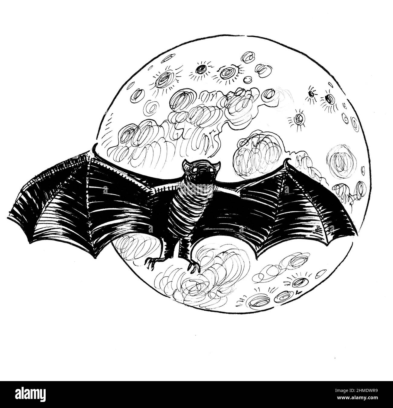 Flying bat and the Moon. Ink black and white drawing Stock Photo - Alamy
