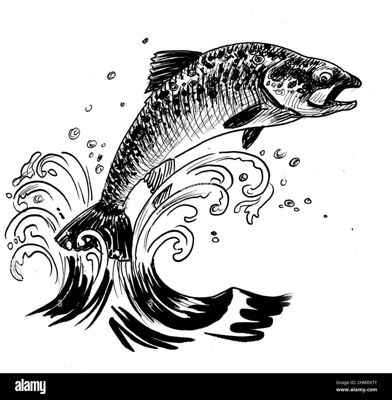 413 Fish Clip Art Black And White Stock Photos, High-Res Pictures