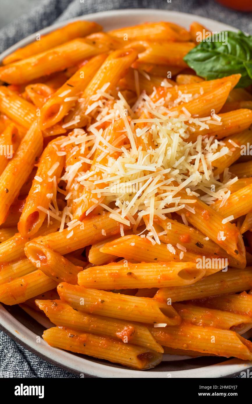 Homemade Penne Pasta with Marinara Sauce Cheese and Basil Stock Photo
