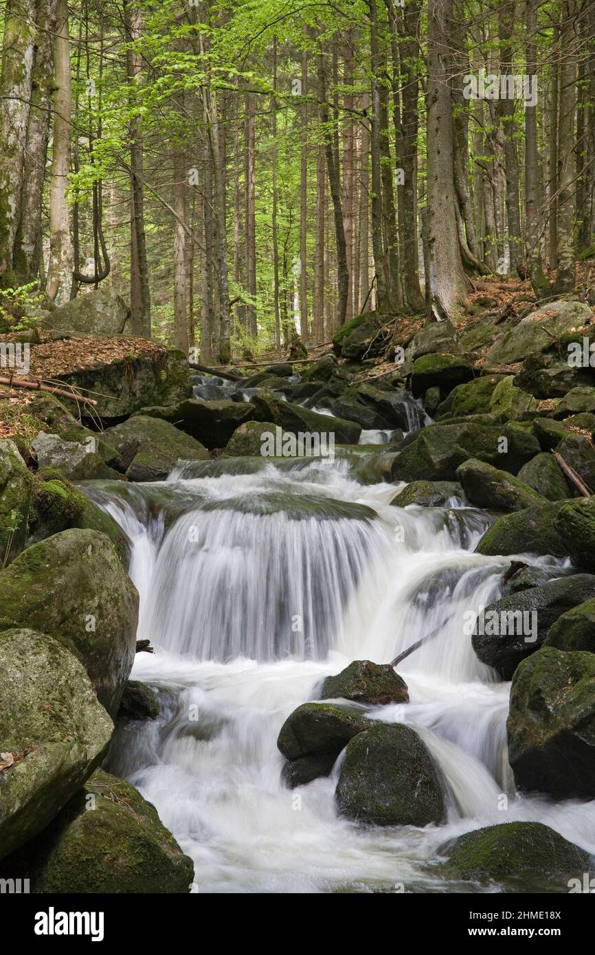 Bavarian Forest National Park (Nationalpark Bayerischer Wald), Germany