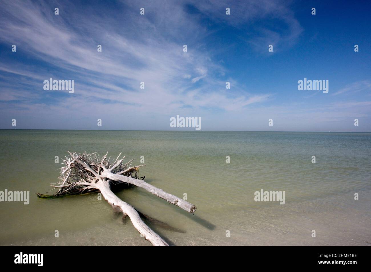 De Soto Park beach, near Tampa, Florida, USA Stock Photo Alamy