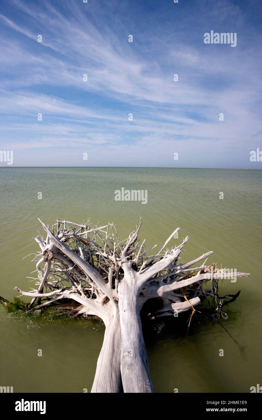 De Soto Park beach, near Tampa, Florida, USA Stock Photo Alamy