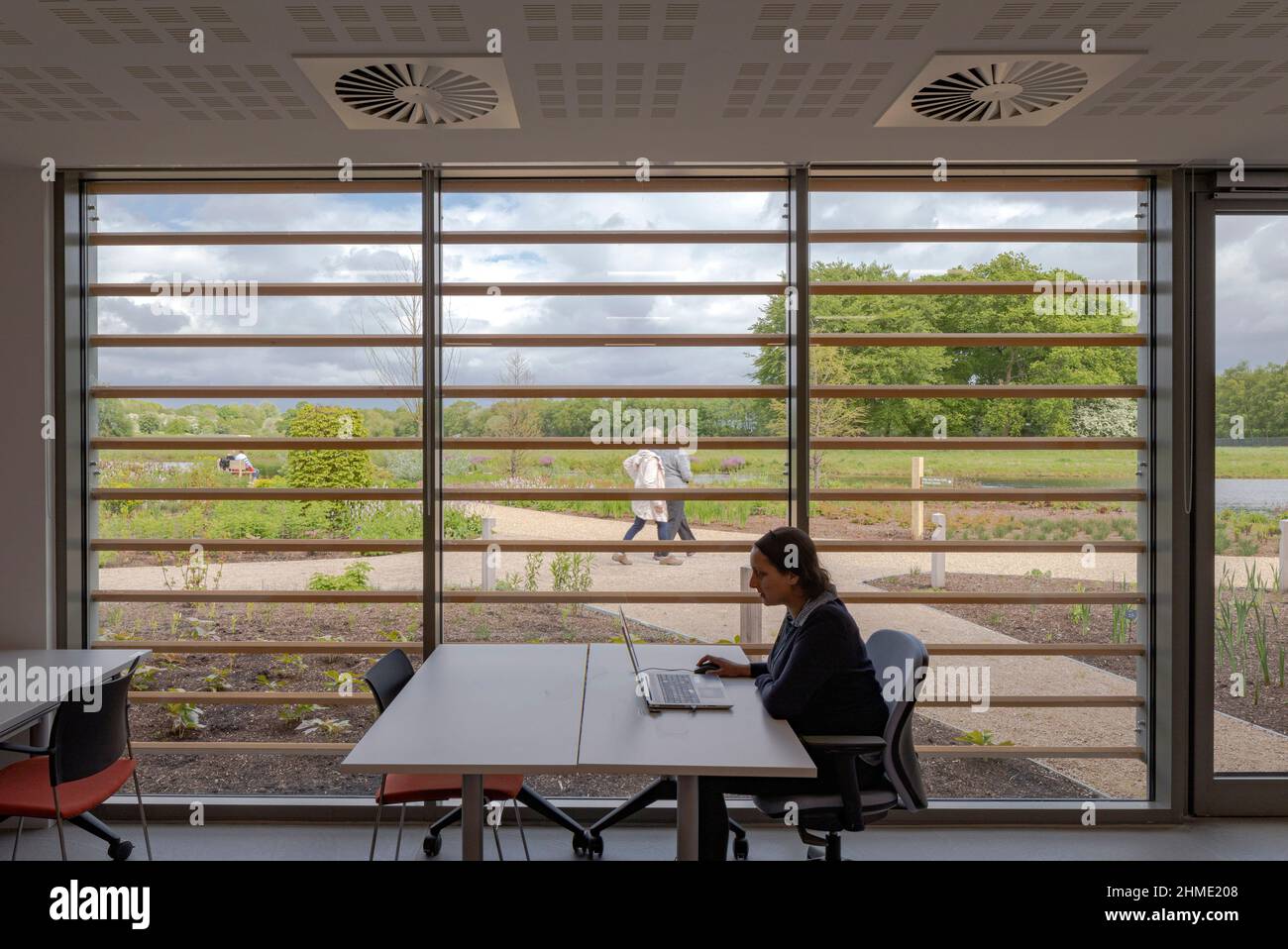 Learning space with view to exterior. Royal Horticultural Society Visitor Centre, Worsley, Salford, United Kingdom. Architect: Hodder & Partners, 2021 Stock Photo