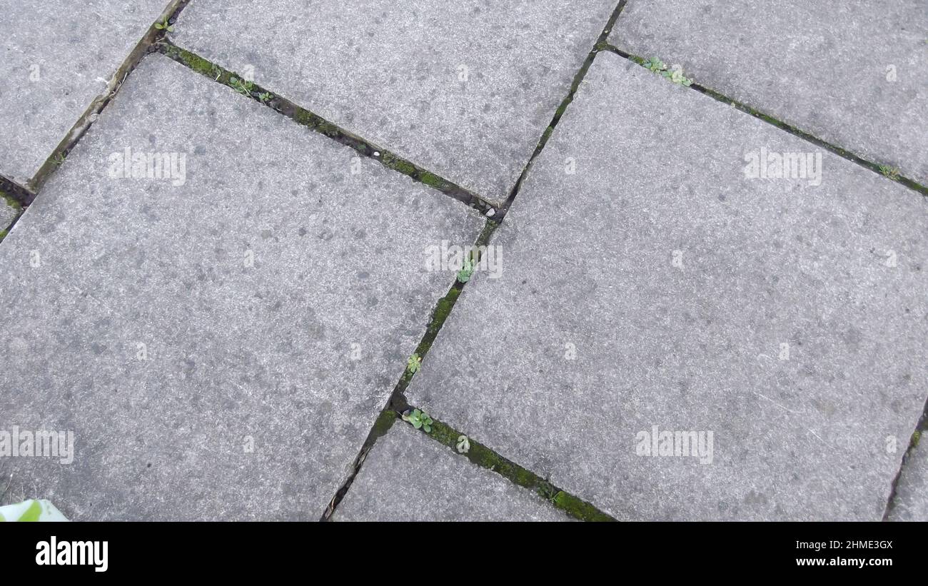 Grey textured paving with weeds growing in between the gaps Stock Photo