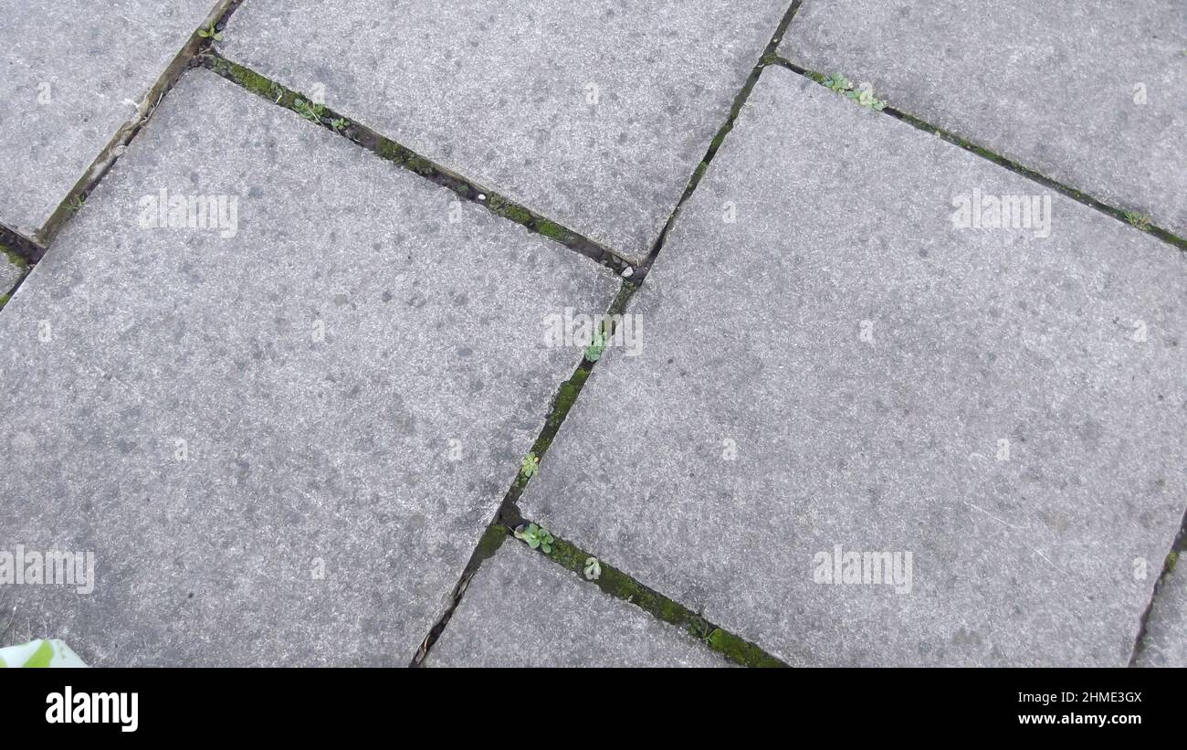 Weeds gaps in paving hi-res stock photography and images - Alamy