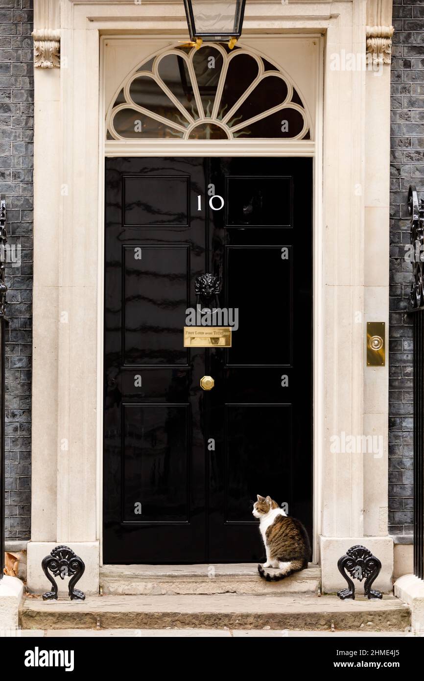 Larry, brown and white tabby cat and Chief Mouser to the Cabinet Office waiting in the doorstep of number 10 Downing Street, London, UK Stock Photo