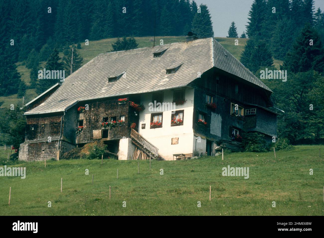 Traditional Black Forest farmhouse in 1981, Neuglashütten, Baden-Württemberg, Germany Stock Photo