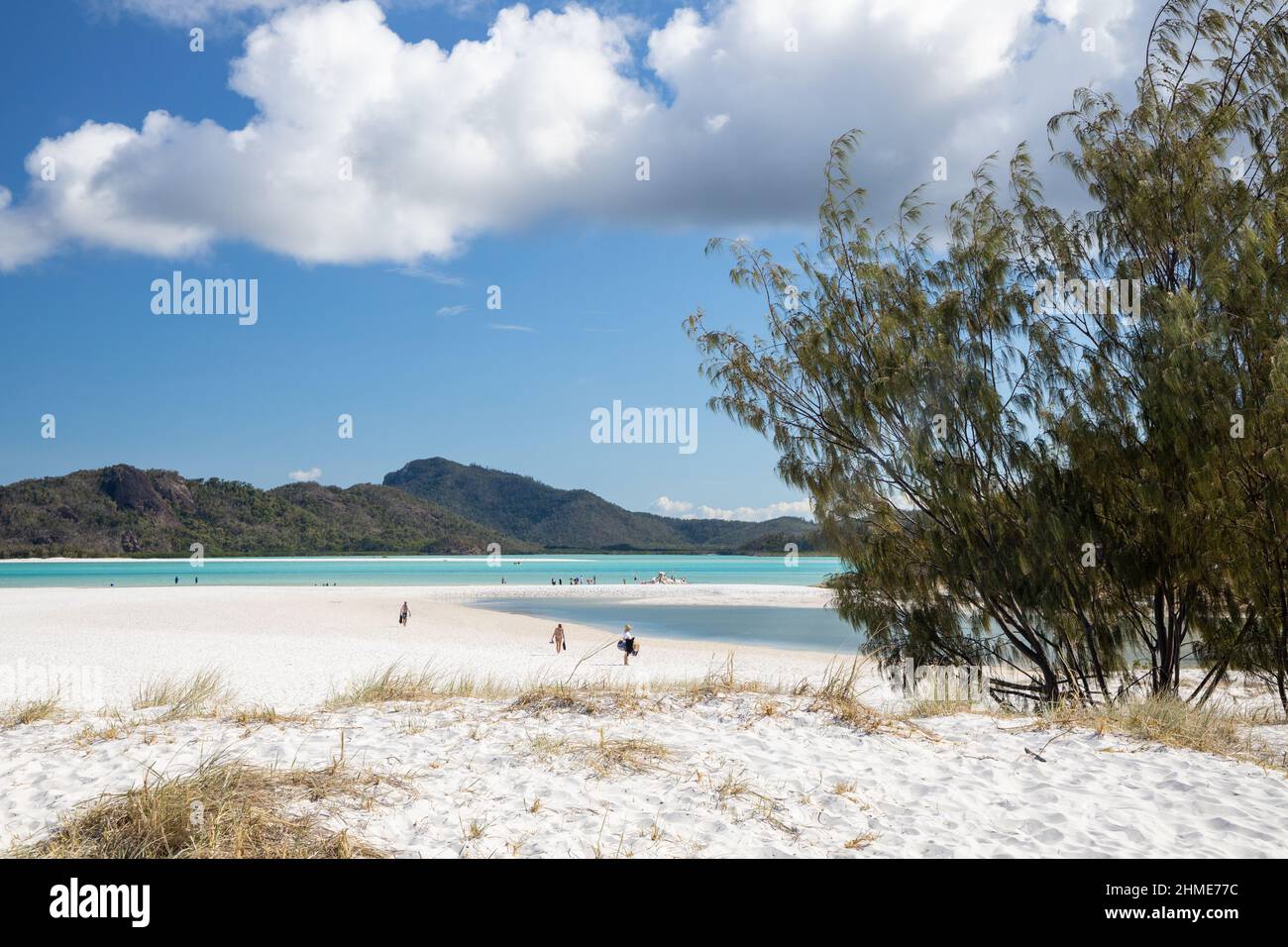 Whitehaven Beach. Voted one of the best travel destinations. Whitsundays Australia. Whitsunday Islands, Queensland. Sailing holiday. Stock Photo