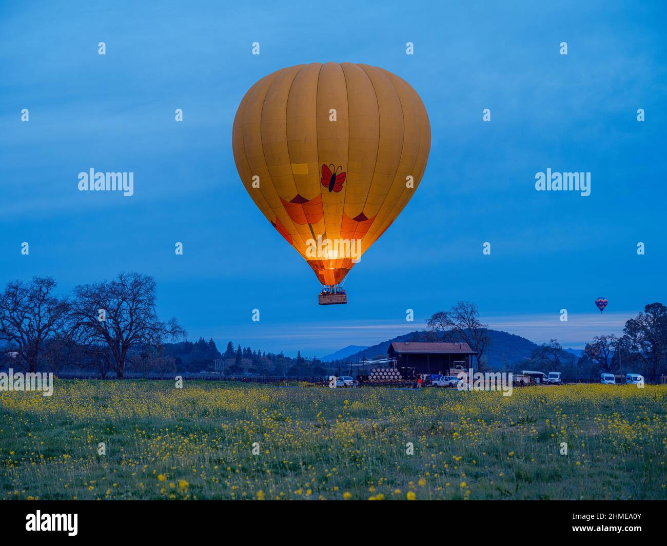 Early Morning Hot Air Balloon Journey Across Napa Valley, California Stock Photo
